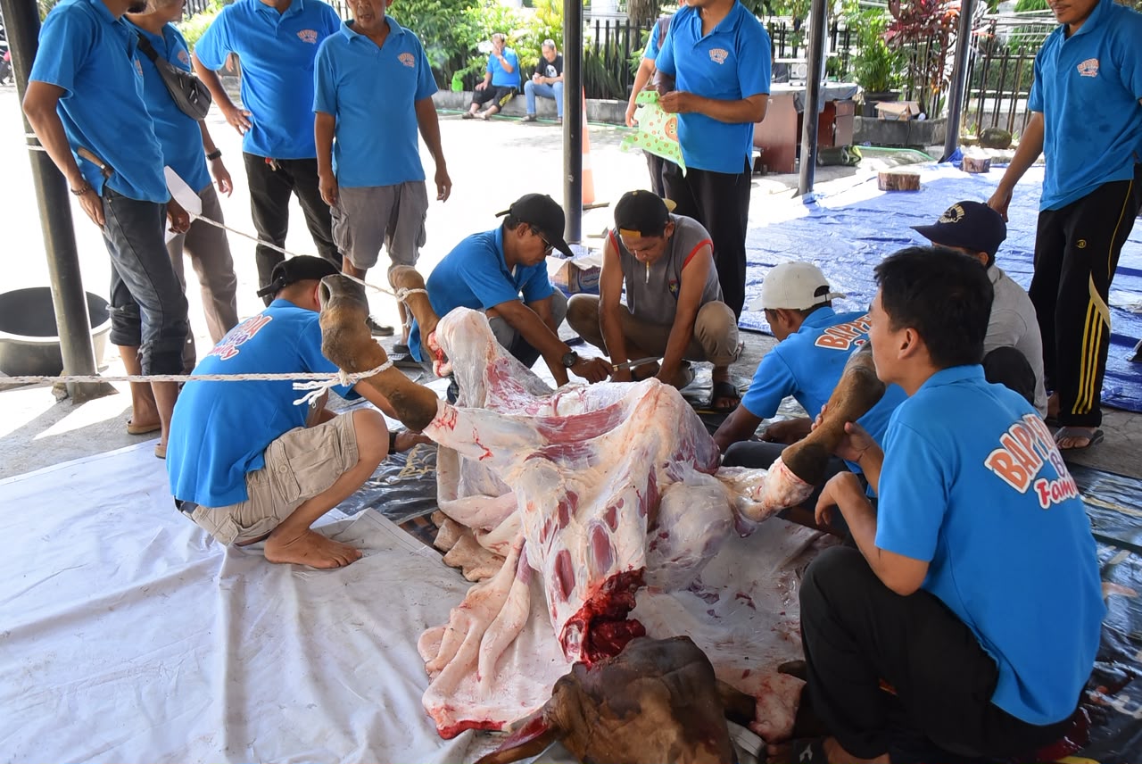 Bappeda Lampung Gelar Penyembelihan Hewan Kurban, Wujudkan Semangat Kebersamaan dan Kepedulian di Hari Raya Idul Adha 1447 H